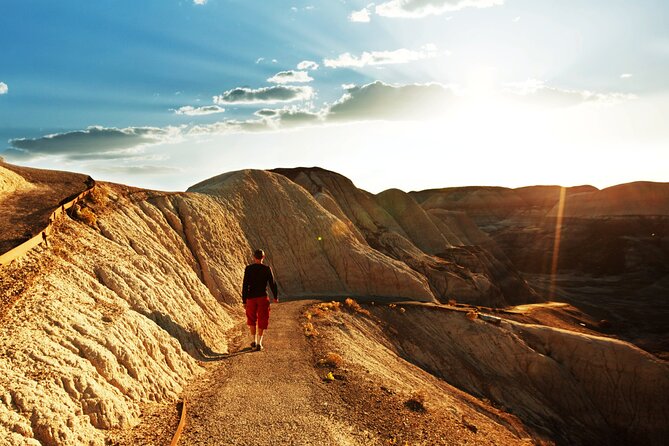 Self-Guided Audio Driving Tour in Petrified Forest National Park - Should you book the self-guided Petrified Forest GPS audio tour?