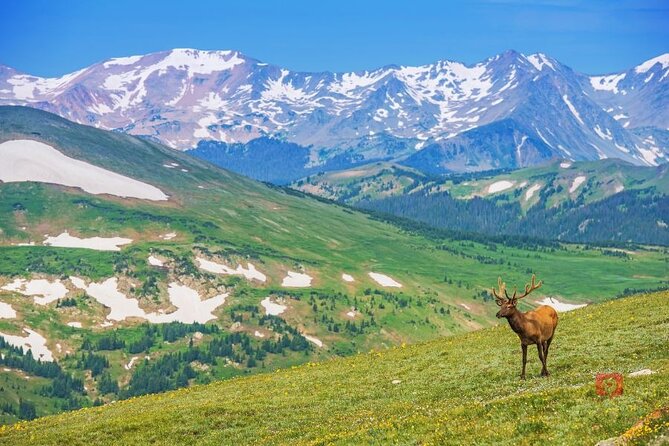Self-Guided Audio Driving Tour in Rocky Mountain National Park - Trail Ridge Road and Estes Park: the Scenic Drive Start