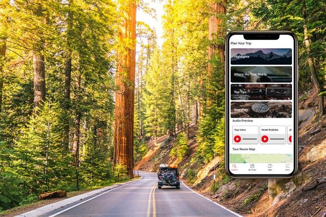 Self-Guided Audio Driving Tour in Sequoia and Kings Canyon - Key Points Before You Drive