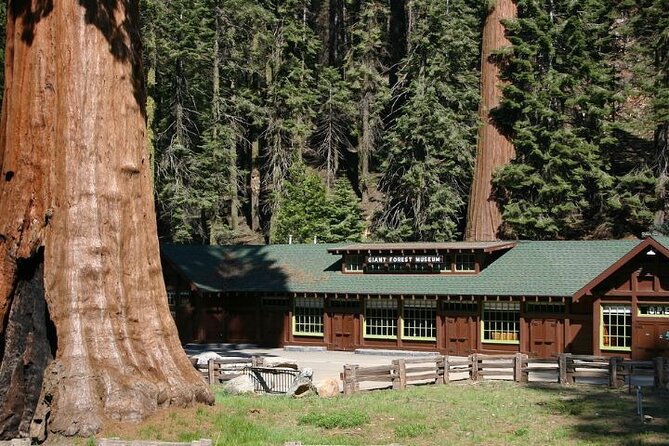 Self-Guided Audio Driving Tour in Sequoia and Kings Canyon - Stop-by-Stop: Sequoia Giants to Cedar Grove Views