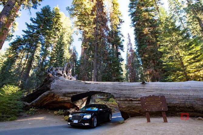Self-Guided Audio Driving Tour in Sequoia and Kings Canyon - Should You Book This Self-Guided Audio Driving Tour?
