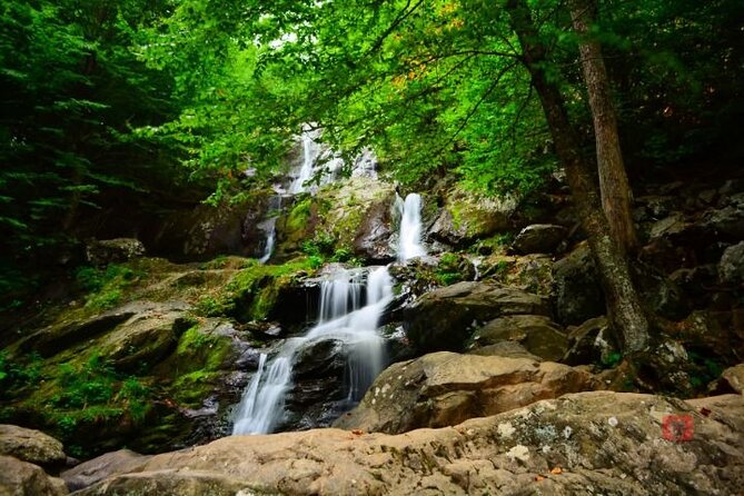 Self-Guided Audio Driving Tour in Shenandoah National Park - Skyline Drive: the main event, with less guessing