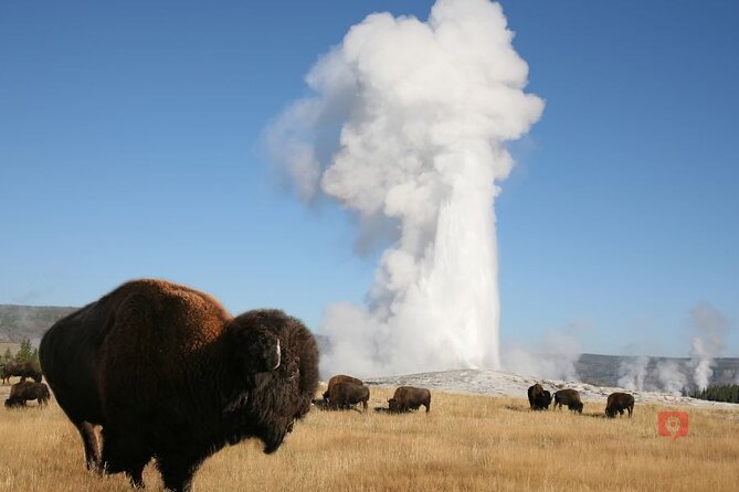 Self-Guided Audio Driving Tour in Yellowstone and Grand Teton - Who Should Book This Audio Drive, and Who Might Skip It
