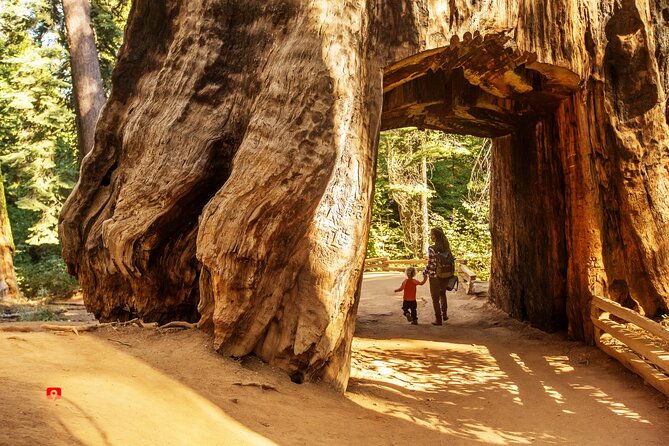 Self-Guided Audio Driving Tour in Yosemite - Yosemite Valley icons: Bridalveil Fall, El Capitan, Glacier Point, Half Dome