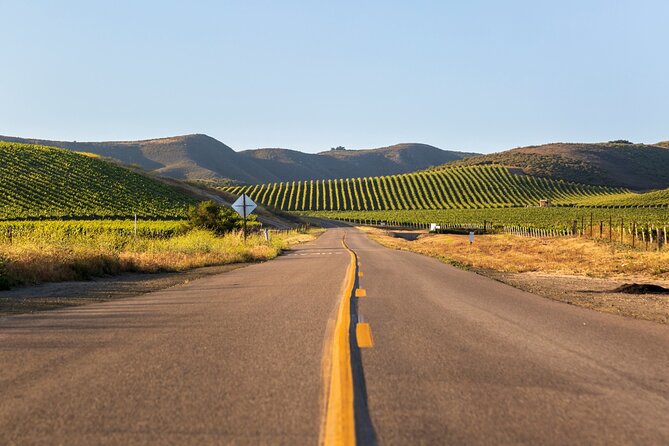 Self-Guided Audio Driving Tour of Sonoma and Napa Valley - Old Faithful Geyser of California: eruptions, gardens, and a kid-friendly break