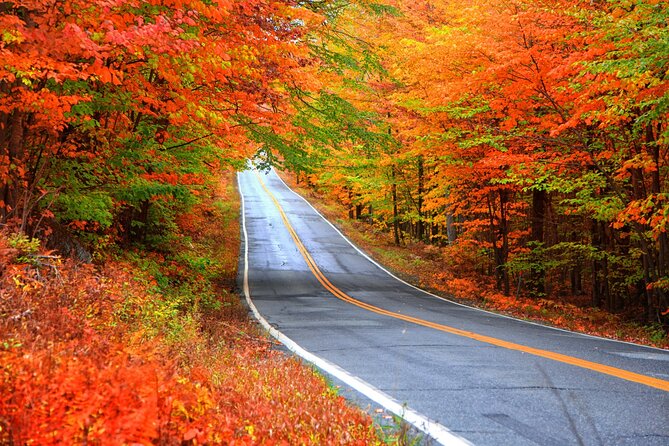 Self-Guided Audio Driving Tour of Vermont, RT100 Scenic Byway - Key highlights worth your attention