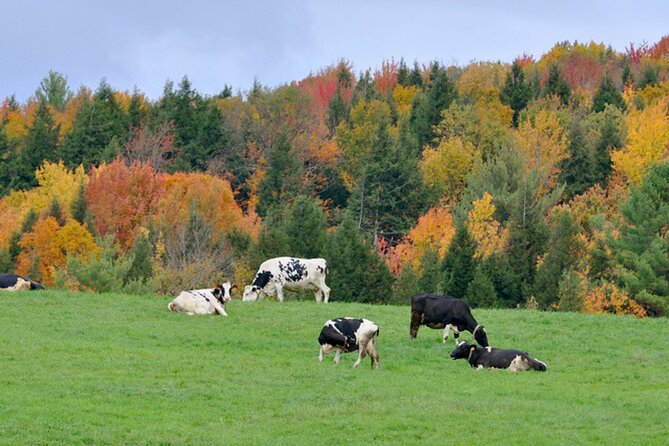 Self-Guided Audio Driving Tour of Vermont, RT100 Scenic Byway - Smugglers Notch: a scenic drive with a human history thread