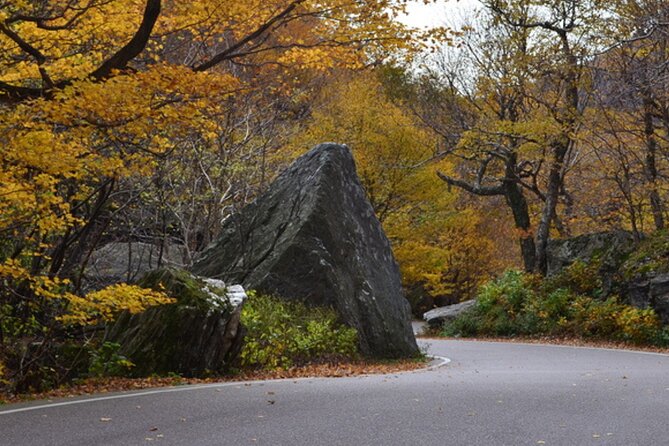 Self-Guided Audio Driving Tour of Vermont, RT100 Scenic Byway - Cold Hollow Cider Mill: classic Vermont comfort break