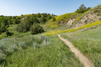 Self Guided Audio Tour of Theodore Roosevelt National Park - Price and time: fitting the North Unit into 2 to 3 hours