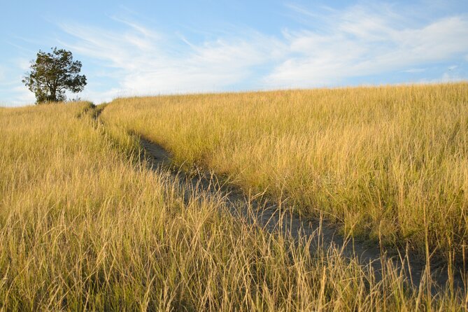 Self Guided Audio Tour of Theodore Roosevelt National Park - What I like about the pacing (and why it works)