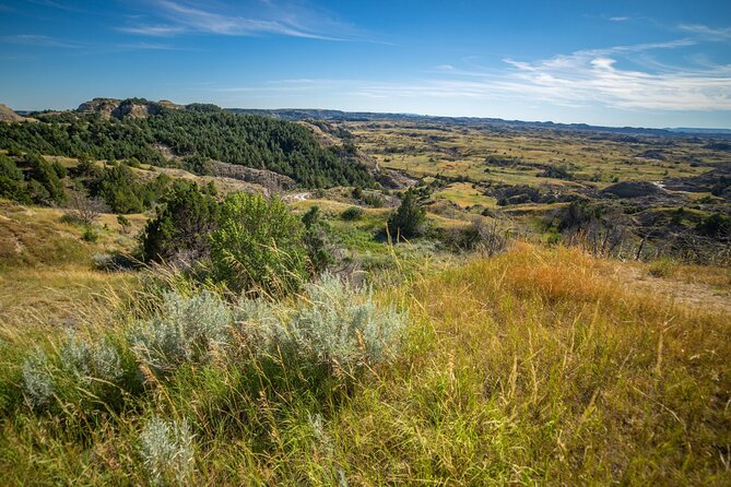 Self Guided Audio Tour of Theodore Roosevelt National Park - Short walks, big views: who this route fits best