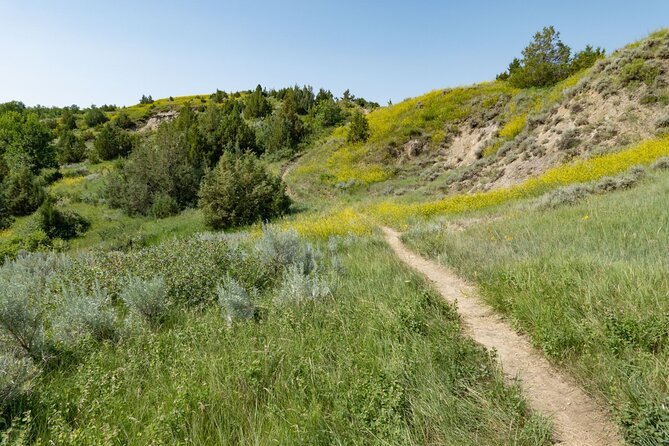 Self Guided Audio Tour of Theodore Roosevelt National Park - Price and time: fitting the North Unit into 2 to 3 hours