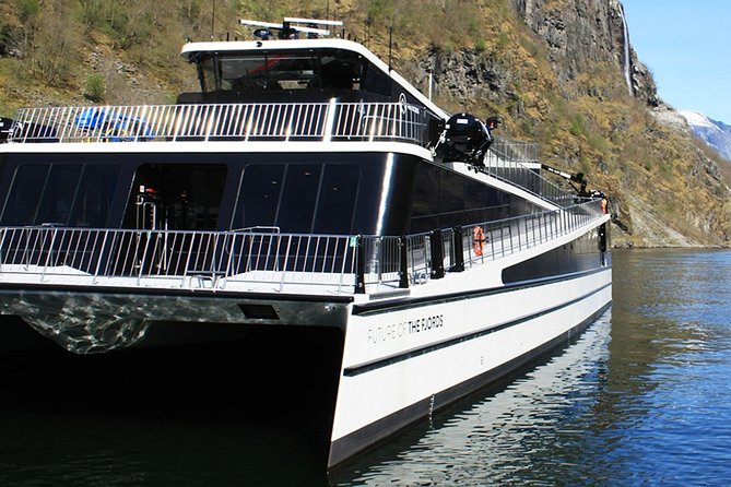 Self-Guided Bergen to Oslo Daytrip With Flamsbana & Fjordcruise - Self-guided tips that keep you on time (and not miserable)