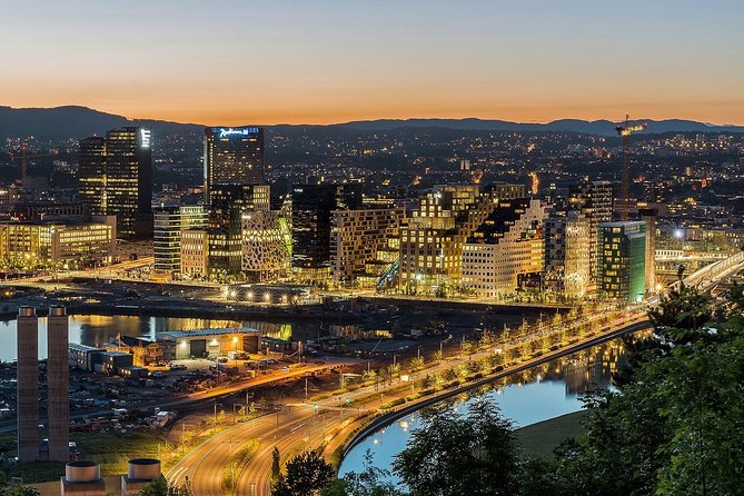 Self-Guided Bergen to Oslo Daytrip With Flamsbana & Fjordcruise - Who this trip suits best