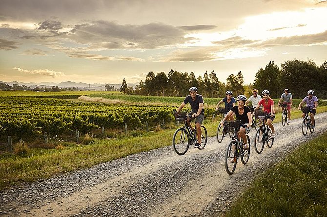 Self-Guided Biking Wine Tour (full day) in the Marlborough Region. - Quick Hits: What Makes This Bike Wine Day Work