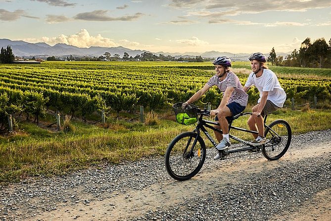 Self-Guided Biking Wine Tour (full day) in the Marlborough Region. - Riding Between Wineries: Flat, Familiar, and Mostly Easy