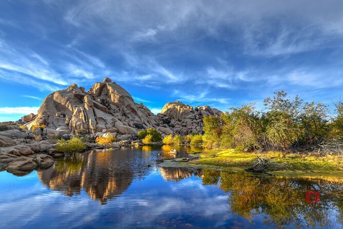 Self-Guided Driving Audio Tour in Joshua Tree National Park - Stop-by-Stop: Joshua Tree Icons from Arch Rock to Split Rock
