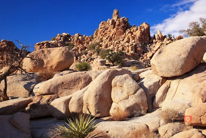 Self-Guided Driving Audio Tour in Joshua Tree National Park - The Trails and Scrambles: How Hard Is This, Really?