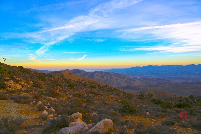 Self-Guided Driving Audio Tour in Joshua Tree National Park - Who This Audio Tour Fits Best in Joshua Tree