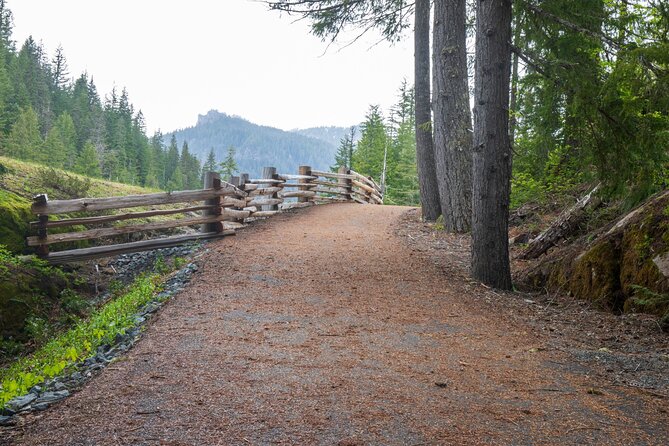 Self Guided Driving Audio Tour of Mount Rainier National Park - Route basics: start in Ashford, end at Sunrise