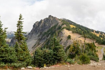 Self Guided Driving Audio Tour of Mount Rainier National Park - Nisqually Entrance: your easy on-ramp to Rainier country
