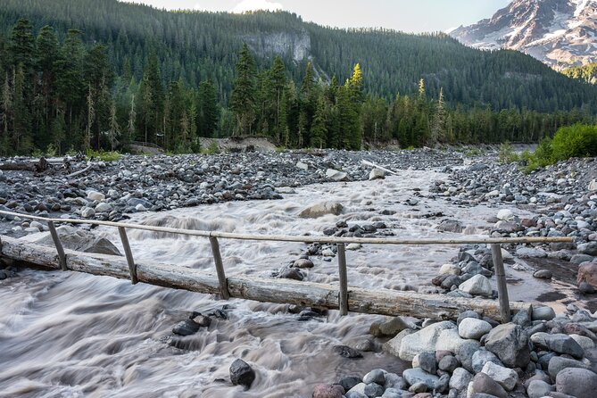 Self Guided Driving Audio Tour of Mount Rainier National Park - Twin Firs Loop Trail: 0.4 miles of old-growth calm