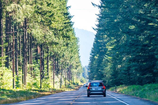 Self Guided Driving Audio Tour of Mount Rainier National Park - Comet Falls: when easy turns into a real climb