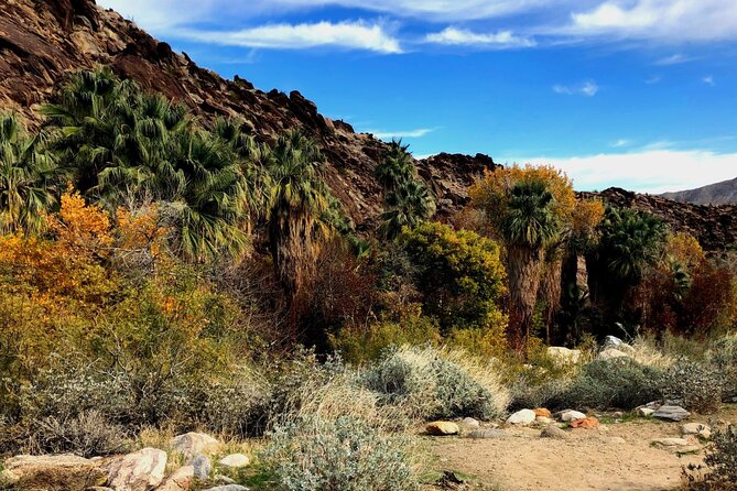 Self Guided Driving Audio Tour of Palm Springs - Should You Book This Palm Springs Self-Guided Audio Tour?