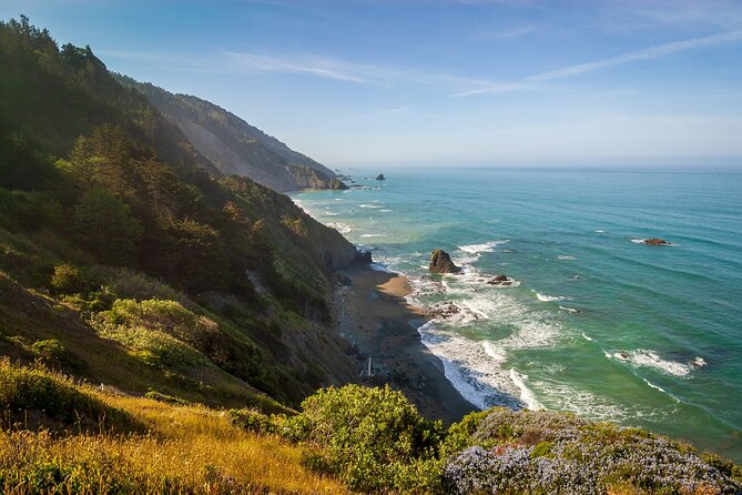 Self Guided Driving Audio Tour of Redwood National and State Park - Quick Hits Before You Start the Redwood Drive