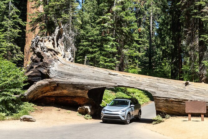 Self Guided Driving Audio Tour of Redwood National and State Park - Where You Start: Smith River Kayaks and a Real Road-Trip Pace