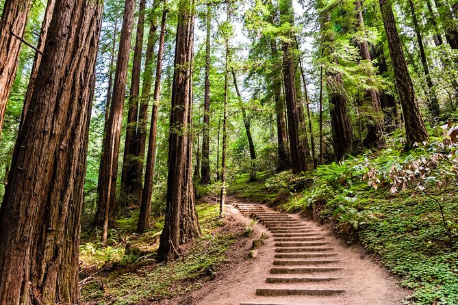 Self Guided Driving Audio Tour of Redwood National and State Park - How the Audio Actually Works: Download, GPS Triggers, and Keeping Sound On