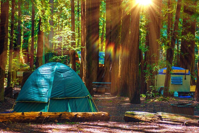 Self Guided Driving Audio Tour of Redwood National and State Park - Stop 1: Stout Grove Loop Trail for Big-Tree First Impressions