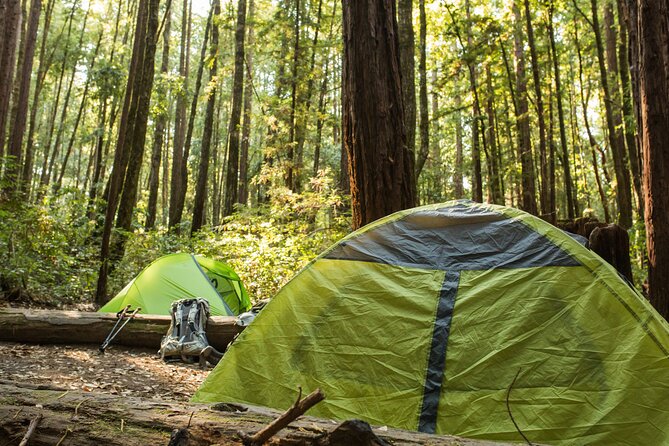Self Guided Driving Audio Tour of Redwood National and State Park - Stop 2: Howland Hill Road for a Narrow, Mossy Drive