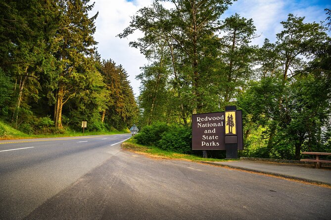 Self Guided Driving Audio Tour of Redwood National and State Park - Stop 3: Crescent Beach for Tide Pools and Pacific Air