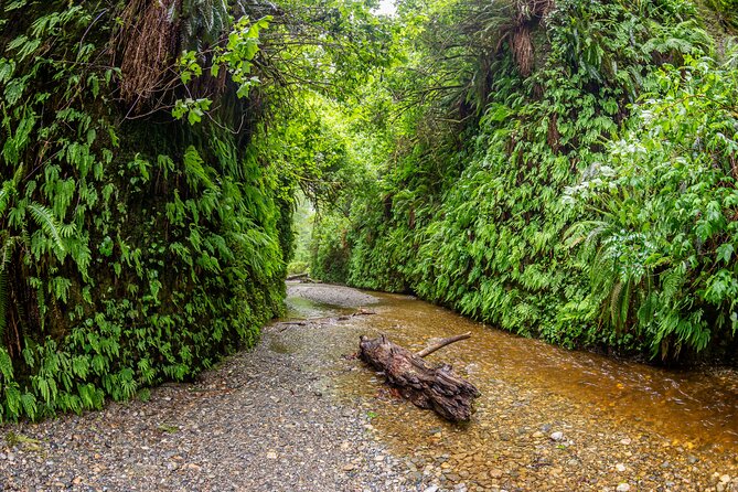 Self Guided Driving Audio Tour of Redwood National and State Park - Stop 4: Trillium Falls Hike for a Short Waterfall Break