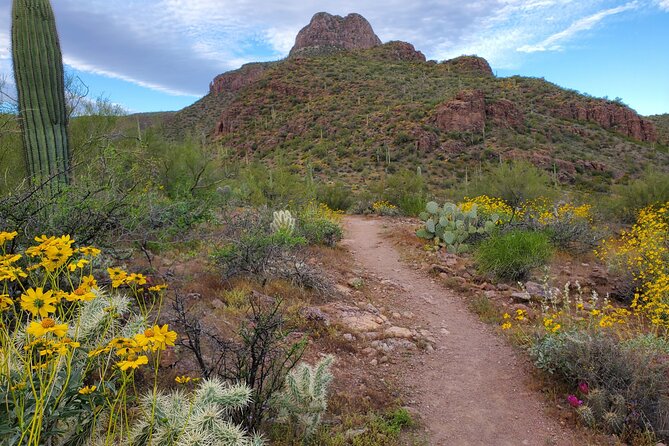 Self Guided Driving Audio Tour of Saguaro National Park - How the GuideAlong GPS autoplay works in your Tucson car