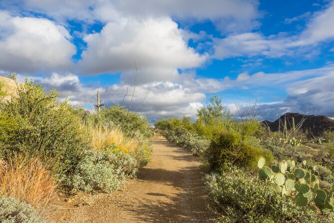 Self Guided Driving Audio Tour of Saguaro National Park - Where to start at 4960 W Ajo Hwy and how long a day needs