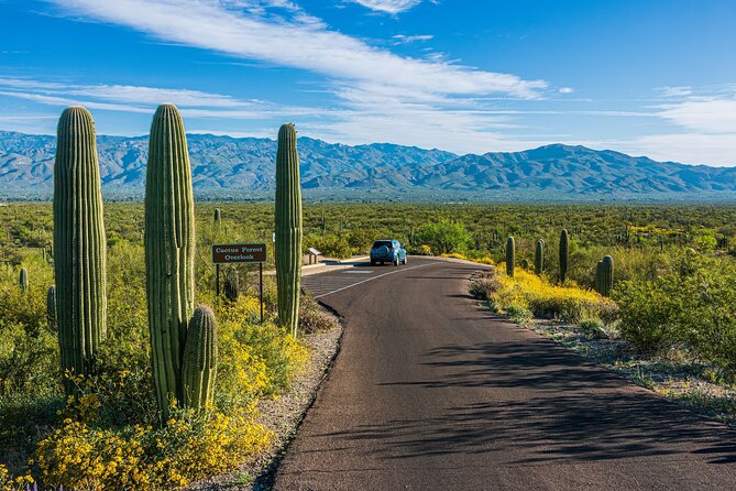 Self Guided Driving Audio Tour of Saguaro National Park - Stop-by-stop: Saguaro National Park cactus drives and trail options