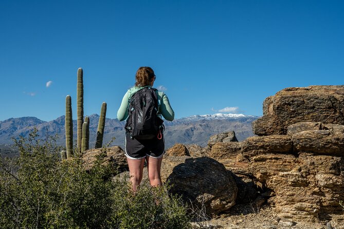 Self Guided Driving Audio Tour of Saguaro National Park - Old Tucson, then Gates Pass: the best quick-hit scenic sequence