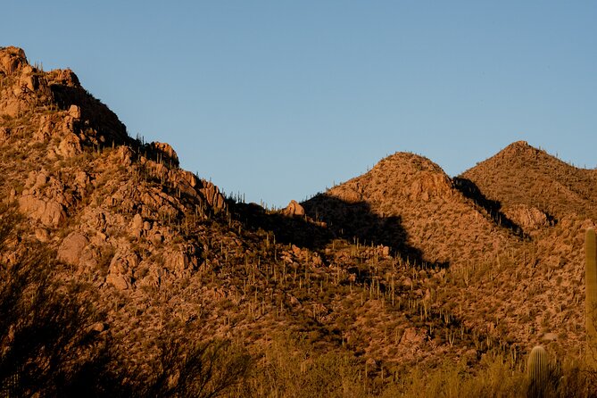 Self Guided Driving Audio Tour of Saguaro National Park - Arizona-Sonora Desert Museum and Signal Hill petroglyphs
