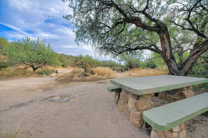 Self Guided Driving Audio Tour of Saguaro National Park - East district viewpoints: visitor centers, overlooks, and big mountain air