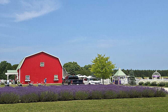 Self-Guided Driving Tour at Door County’s Washington Island - A GPS Audio Drive That Fits How You Actually Travel