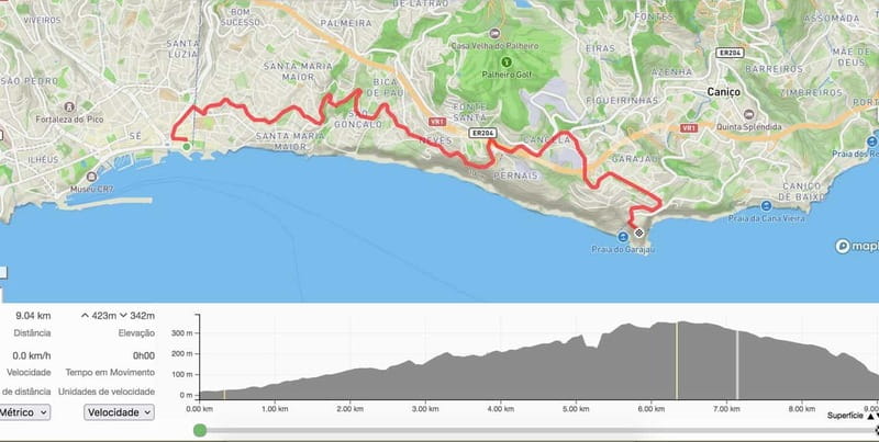 Self-Guided E-Bike Road Tour from Funchal to Garajau - The Reality Check: Tight Roads and Steep Up-Downs