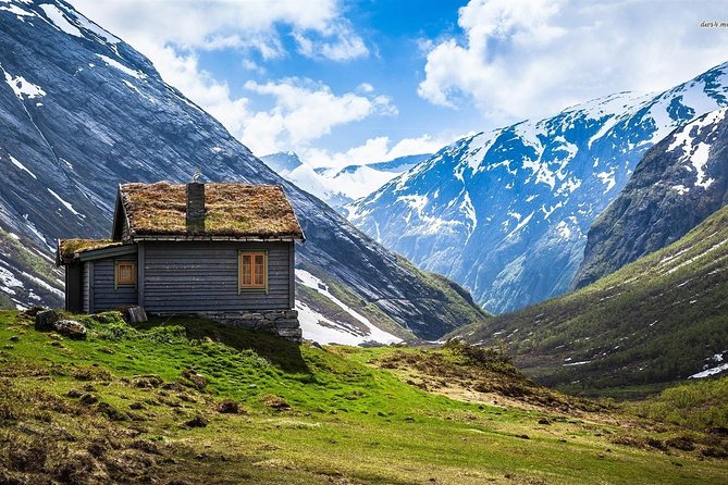 Self-Guided Full Day: Bergen To Oslo with Sognefjord cruise (5h) - Myrdal Station and the Flåmsbana: Up Into the High Scenery