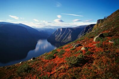 Self-Guided Full Day Round-trip From Bergen - Voss to Gudvangen by Bus: Stalheimskleiva’s Hairpins (Seasonal)