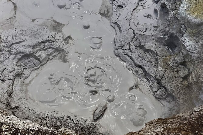 Self-Guided Geothermal Tour in Orakei Korako - Key highlights you’ll feel right away