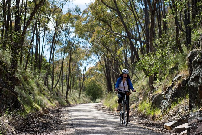 Self-Guided Gourmet Culinary Cycling Day Tour From Beechworth - The Murray to Mountains Rail Trail: safe, paved, and made for an easy downhill mood
