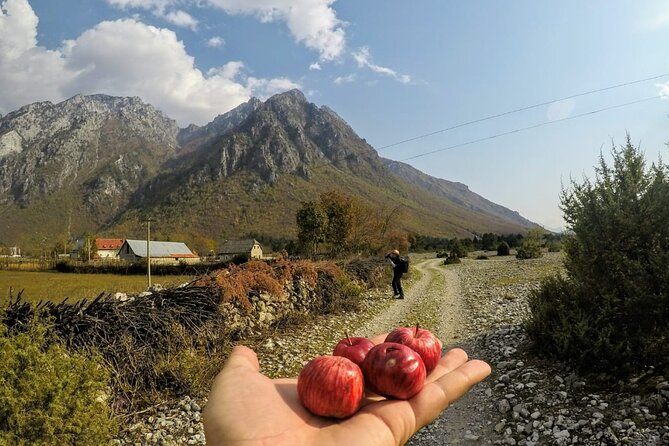 Self-Guided Hiking Tour: Theth, Valbona & Koman Lake in 5 days - Day 5: Komani Lake by boat, then back to Shkoder or Tirana