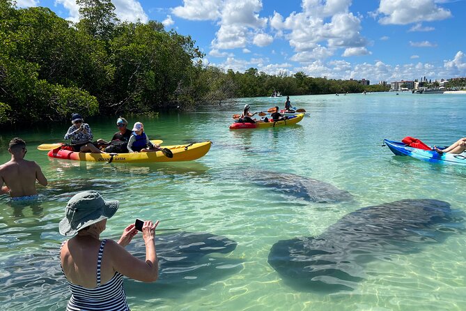 Self-Guided Island Tour: CLEAR/Standard Kayak, SUP-Bonita Springs - Key Things That Make This Paddle Tour Worth It