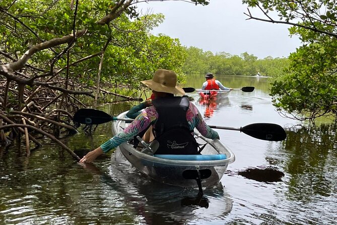 Self-Guided Island Tour: CLEAR/Standard Kayak, SUP-Bonita Springs - Paddling Estero Bay From Big Hickory Island: What the 2-Hour Plan Feels Like